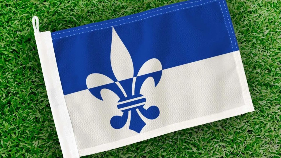 Vlag van Scherpenzeel