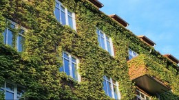 ‘Commissies ruimtelijke kwaliteit zijn keihard nodig’