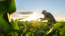 SER: Meer aandacht voor perspectief nodig in klimaatbeleid