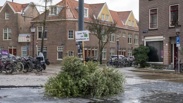 Zo'n 10.000 sociale huurders bezitten ook een eigen woning 