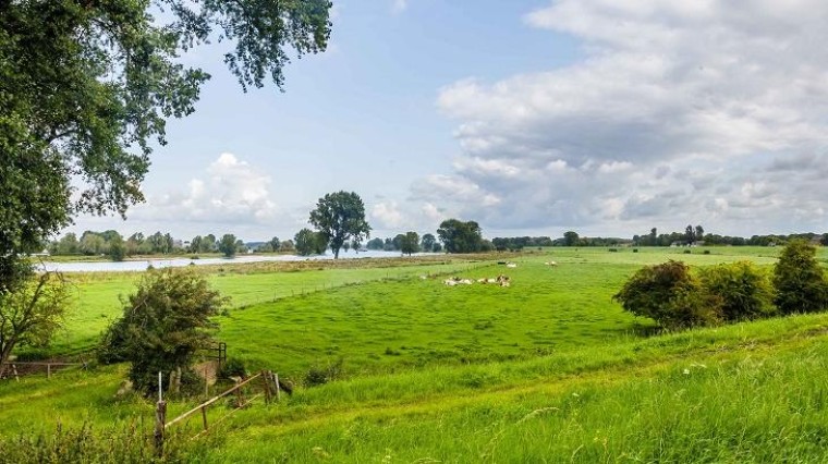 Aanpak landelijk gebied Noord-Brabant