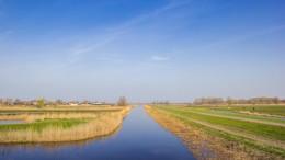Oostzaan mag verder met woningen voor Oekraïners in natuurgebied