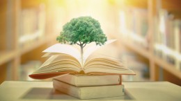 'We werden steeds minder vrolijk'