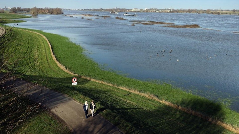 Een ondergelopen uiterwaard van de Waal bij het Gelderse Wamel.