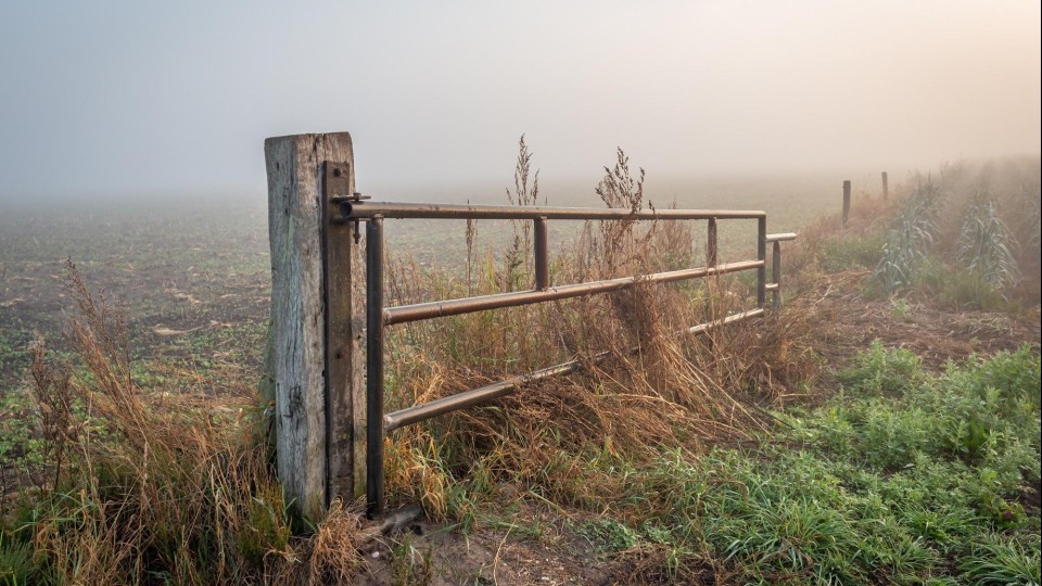 Een geopend hek bij een weiland in het Brabantse dorp Den Hout.