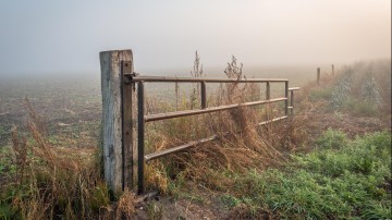 Moet er een staatscommissie komen voor natuur en landbouw?