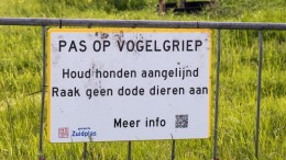 ‘Grenzen sluiten stopt wel mensen, maar geen virus’