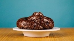 De potentie van poep