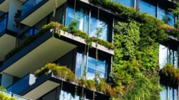 Steden bundelen krachten voor klimaatneutraliteit