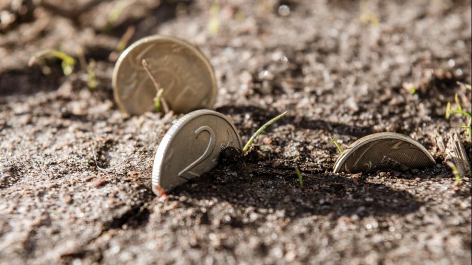 Grond met euro's erin 