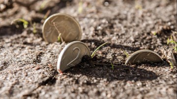 Eén op vijf gemeenten programmeert sociaal