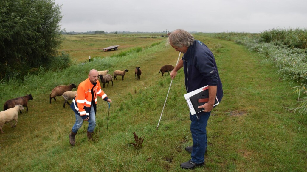 Adviseur waterkeringen Frank Braspenning en gebiedsbeheerder Theo Witteman van Hollands Noorderkwartier inspecteren de dijk.