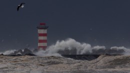 De zeespiegel stijgt en Nederland bouwt verder in de polder