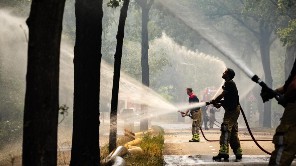 Brandweerlieden blussen natuurbrand met waterstralen in bosrijke omgeving tijdens droogte in Limburg