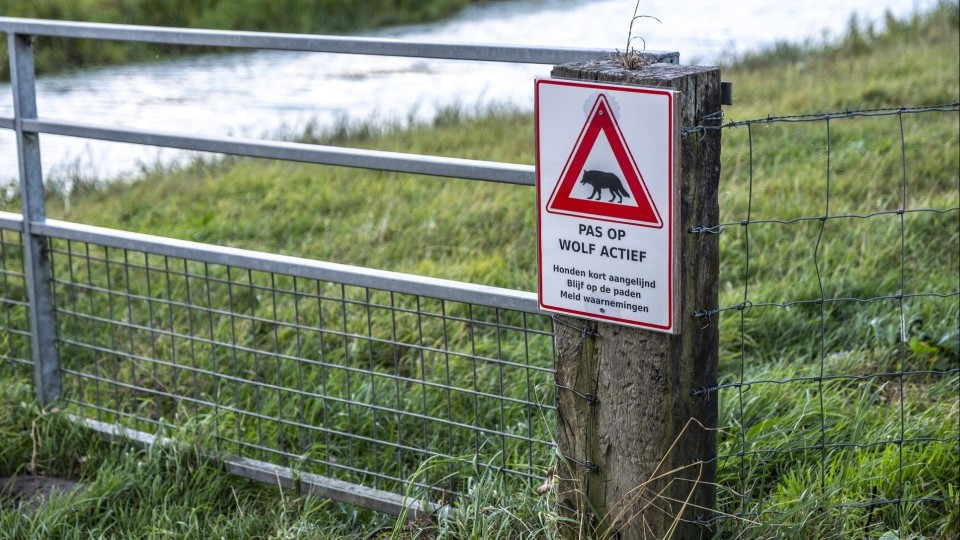 Een waarschuwingsbord voor een wolf in Raalte, in Overijssel.