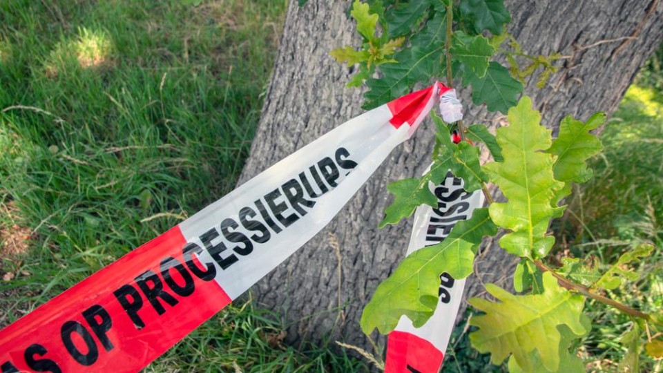 Waarschuwingslint Pas op, processierups