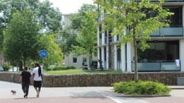 Wijkaanpak: schakelen tussen strategie en praktijk