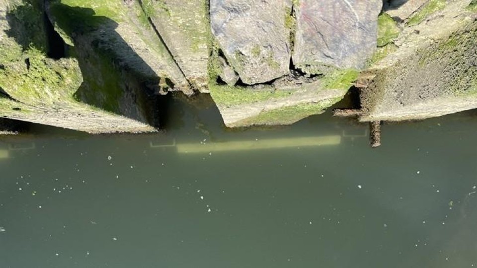 roest
