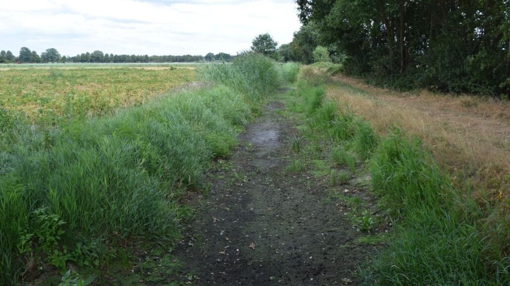 hoger in het waterschap staat het droog