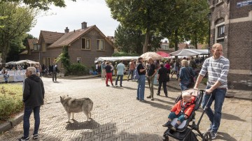 Meer migranten, minder cohesie? Dat ligt genuanceerder