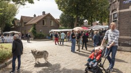 Meer migranten, minder cohesie? Dat ligt genuanceerder