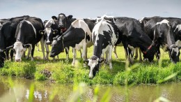 Hoe zit het nou met die rekenkundige ondergrens?