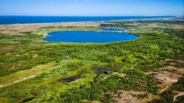 Tóch geen dinoterb in Noord-Hollands oppervlaktewater