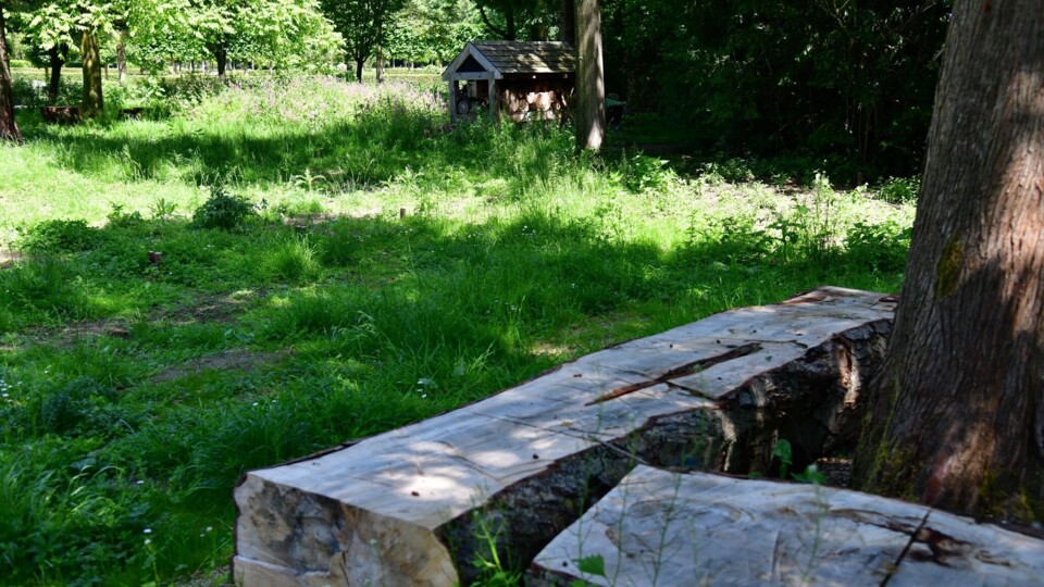 Natuurlijk begraven