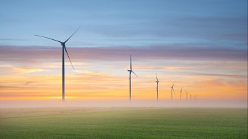 AP roept op om incidenten met AI te melden
