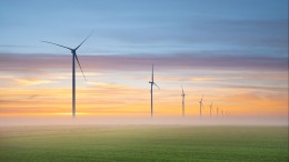 AP roept op om incidenten met AI te melden