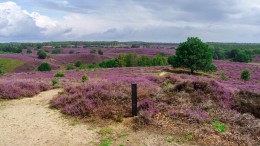 Afsluiting natuurgebied Posbank valt fors duurder uit