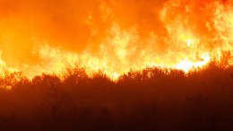 Grote rol provincies bij aanpak natuurbranden