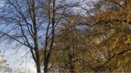 Het omgevingsplan en de gemeentelijke monumenten