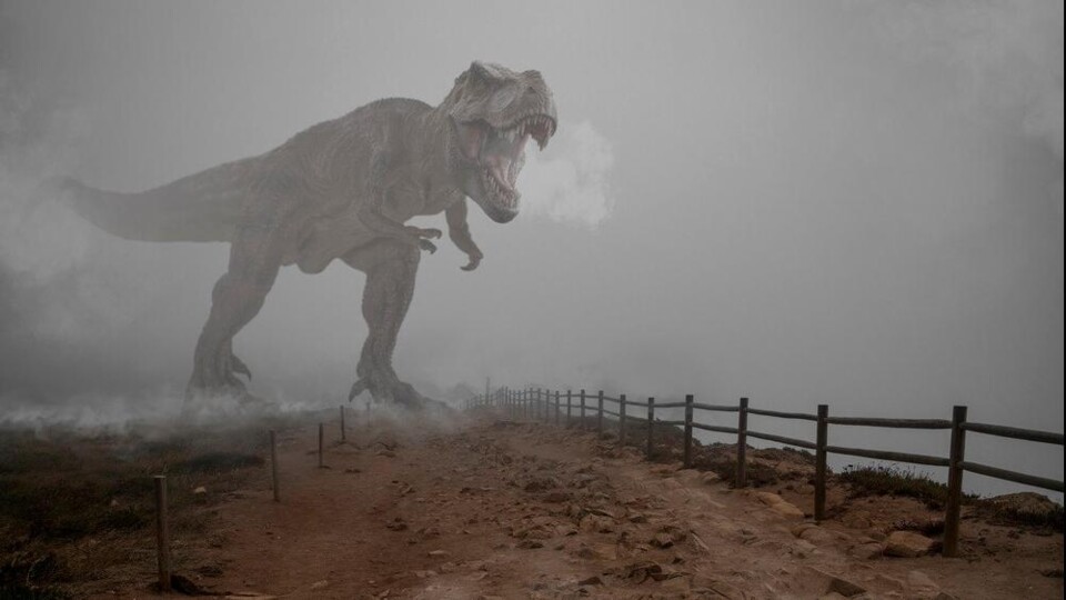 Grote, brullende dinosaurus met open bek op een mistig pad langs een houten hek.