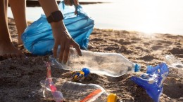 De natuur als oplossing