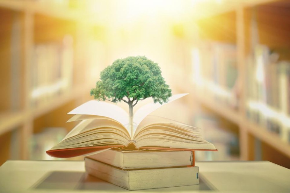 Boom in een boek