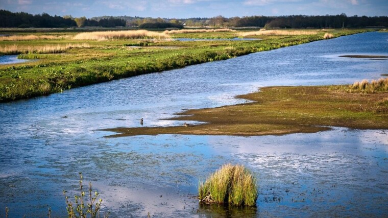 ‘De polder werkt, maar dat is nog niet genoeg’