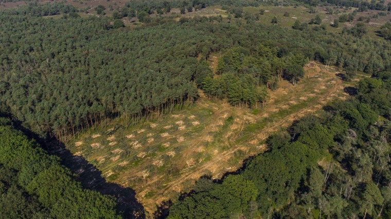 ‘Overheid moet ook relationele waarde van natuur erkennen’
