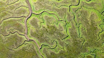 Nazca draagt bij aan mijlpaal 100.000 bodemonderzoeken in de BRO