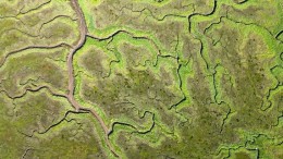 Nazca draagt bij aan mijlpaal 100.000 bodemonderzoeken in de BRO