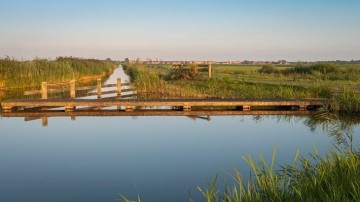 Beter sturen op de grote fysieke opgaven van Nederland