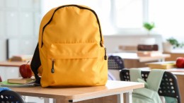 Opfriscursus voor alle rijksambtenaren