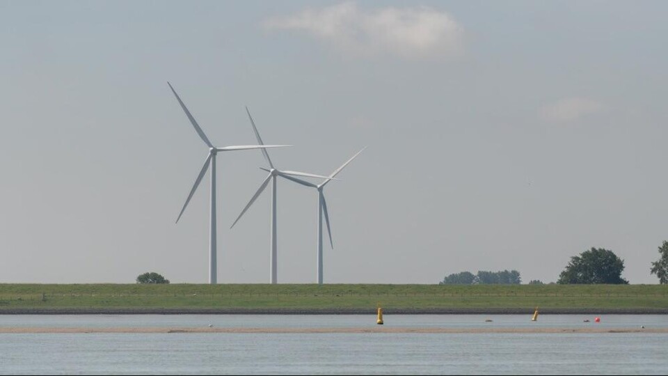 De Westerschelde