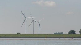 Natuurherstel Westerschelde mag van Zeeland economie niet schaden