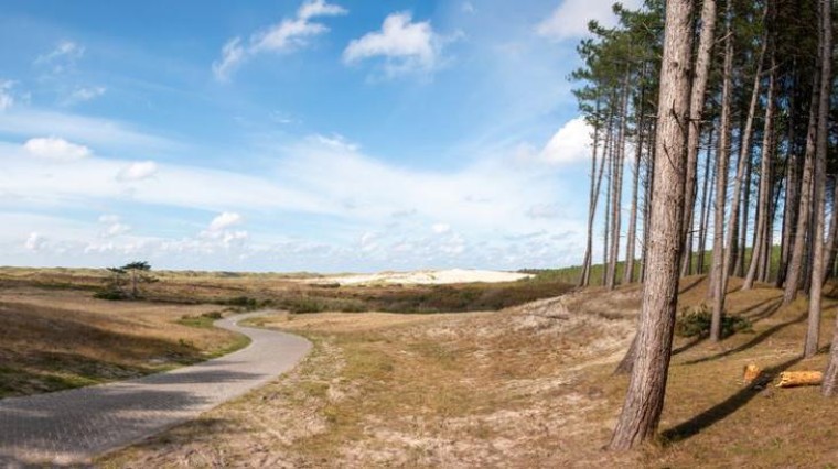 Hoeveelheid natuur in Nederland sterkst gedaald