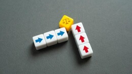 Integriteitsregels aan de laars gelapt: ontslag als gevolg