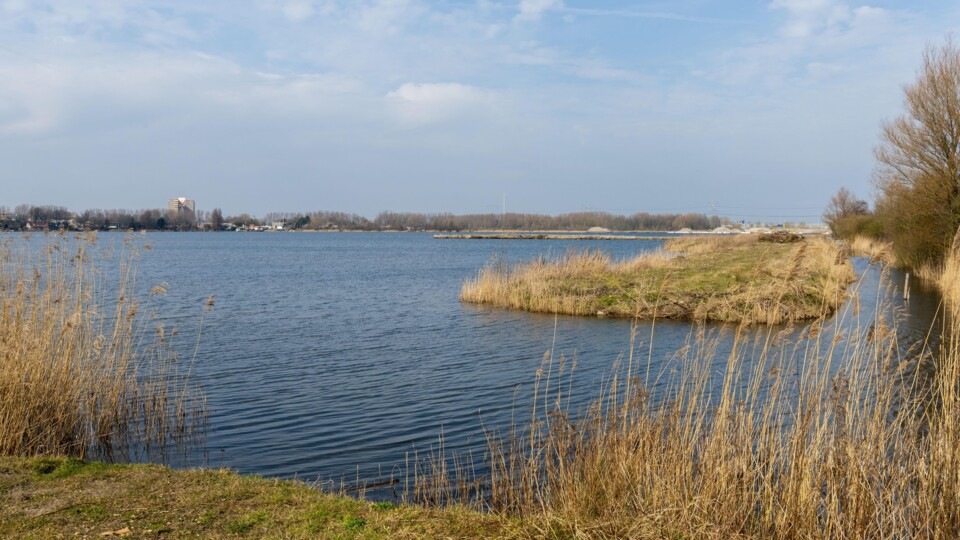 Noorder IJ-plas