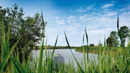 Grotere vraag naar financieringen FSFE