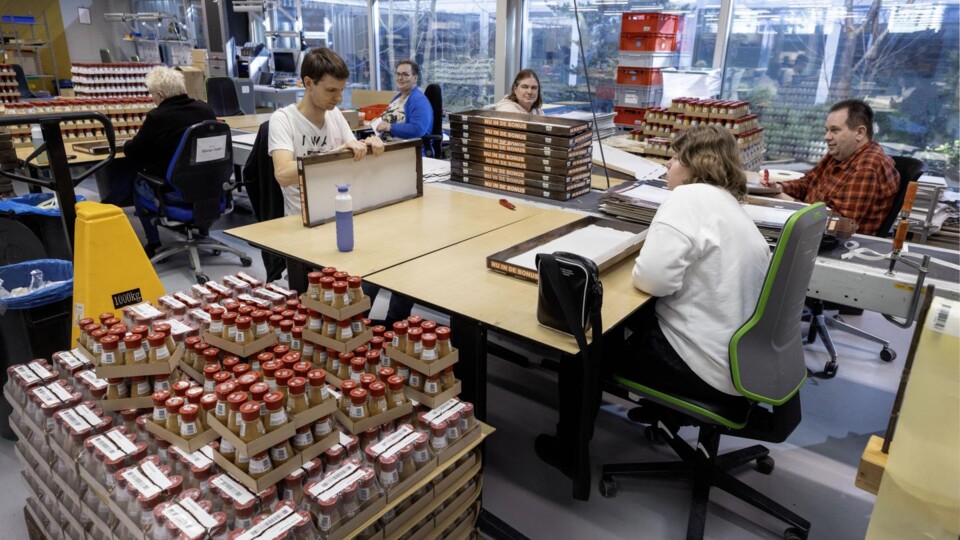 Vijf mensen zitten aan tafels in een werkplaats met verpakte producten en dozen, bezig met verpakken en sorteren.