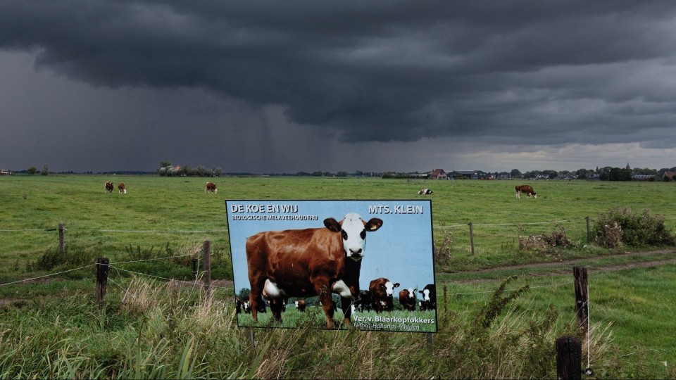 Reclame voor een biologische melkveehouderij in de Noord-Hollandse gemeente Waterland.